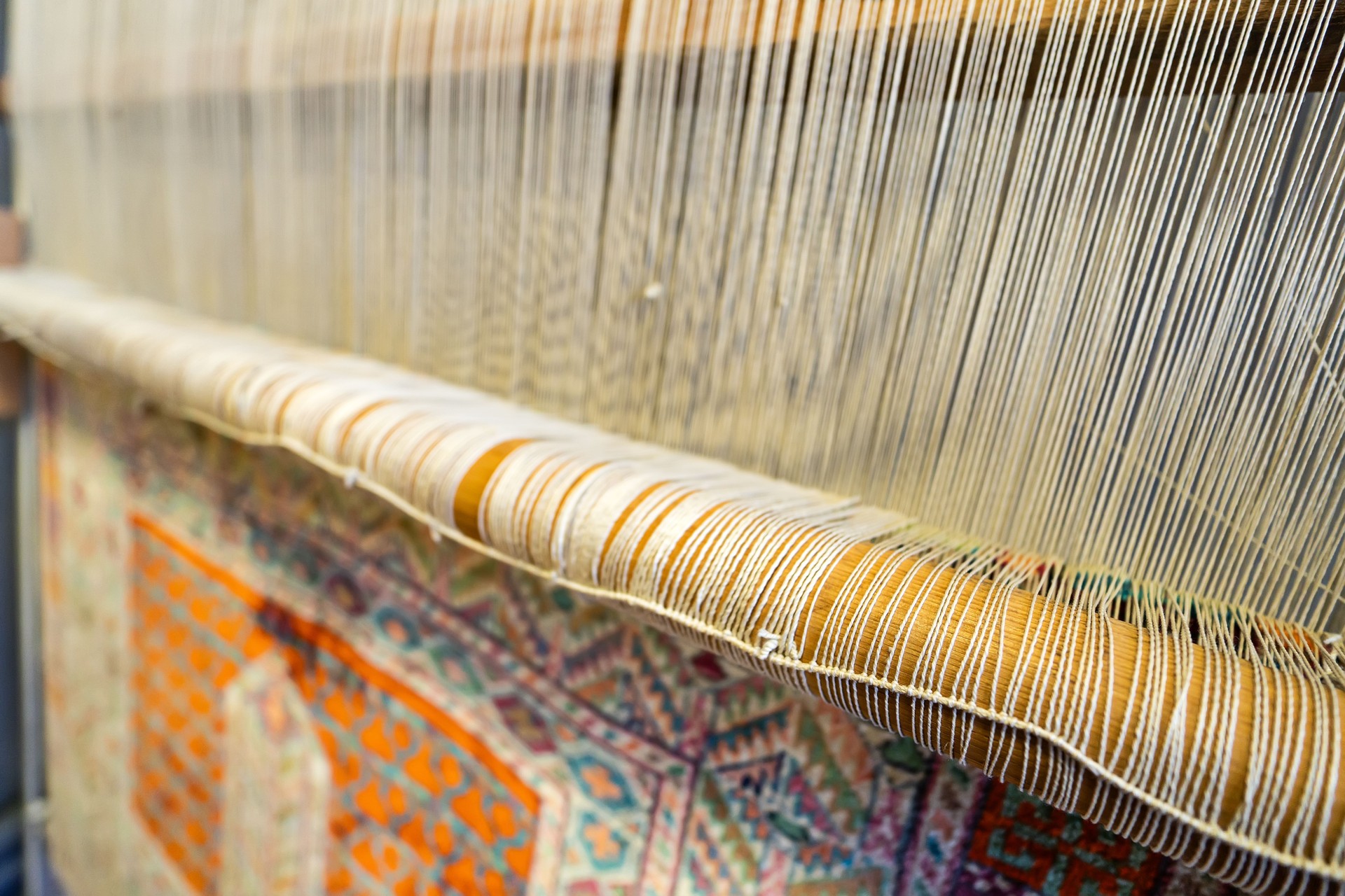 A traditional rug being woven on a carpet vertical loom, showing wool pile under tension, foundation, warp and weft. threads on loom in close-up.